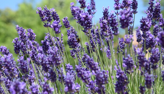 Температура упадет до +6°С: свежий прогноз погоды на выходные