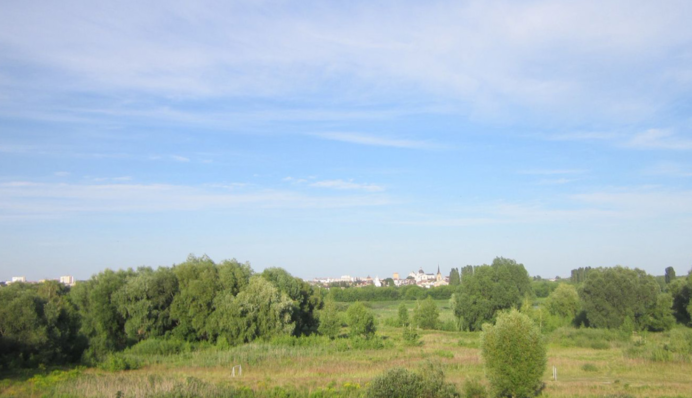 Незаконний продаж землі заповідного фонду: посадовцю Держгеокадастру повідомили про підозру