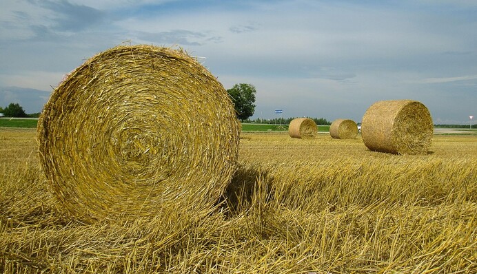 Аномальная жара или новое похолодание: в Укргидрометцентре рассказали, каким будет июль