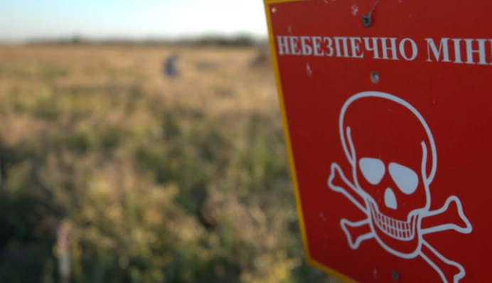 Нардеп Костенко: Украина выходит из Оттавской конвенции о запрете противопехотных мин
