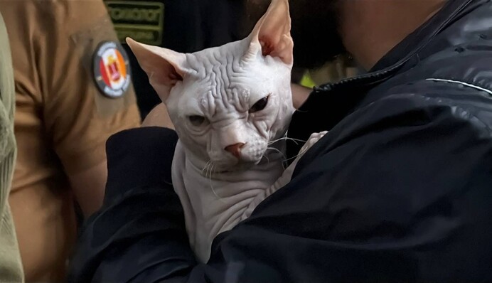 Атака на Одесу: пошкоджень зазнала багатоповерхівка, 5 людей деблоковано