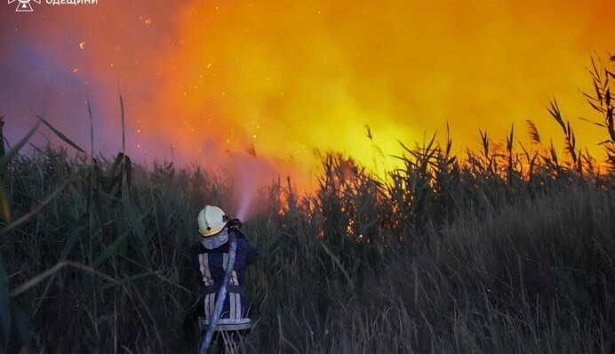 На Одещині вирують масштабні пожежі, загинула жінка