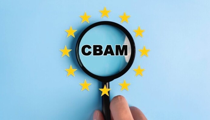 Правительство должно добиваться отсрочки СВАМ для Украины - президент Профессиональной ассоциации экологов