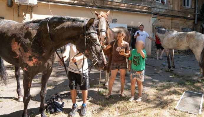 Армія РФ вдарила по стайні в Одесі: поранені люди й тварини