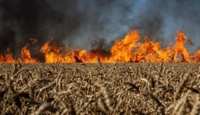 Война нанесла экологии Украины ущерб на 108 миллиардов евро — данные Минприродды