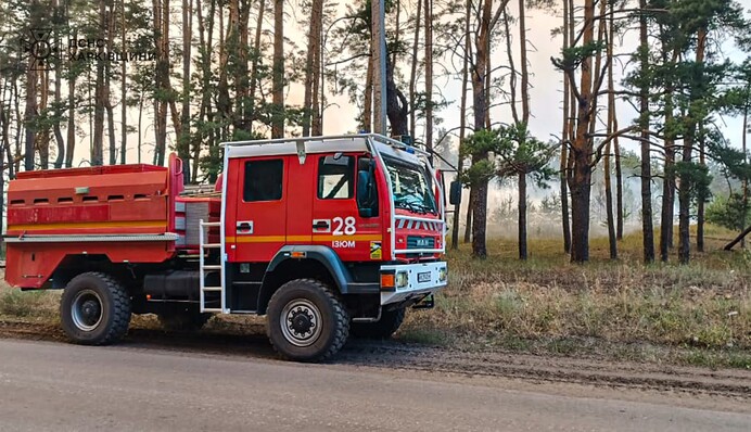 Лісові пожежі на Луганщині: вигоріло понад 100 гектарів лісу