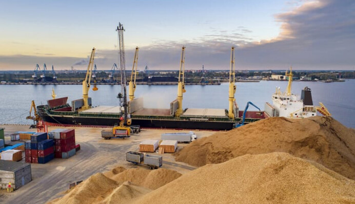 Україна перевезла морським коридором понад 130 мільйонів тонн вантажів - Кулеба