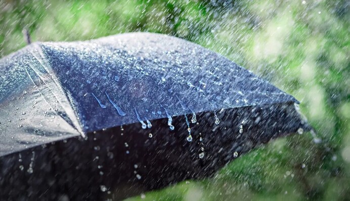 Негода на Полтавщині: без електропостачання – понад 800 споживачів