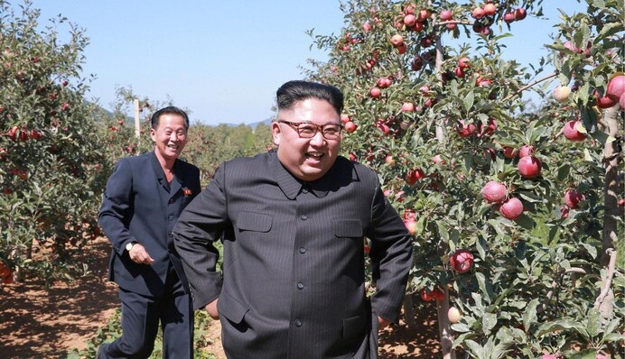 Росія почала імпортувати продукти з Північної Кореї