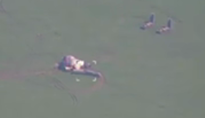 Генштаб: ВСУ поразили российский ЗРК С-300 под Белгородом