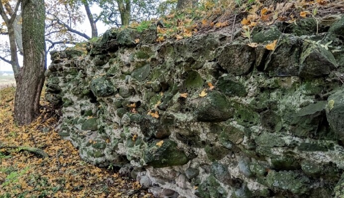 В Польше нашли 600-летнюю брошь герцога с огромным аметистом