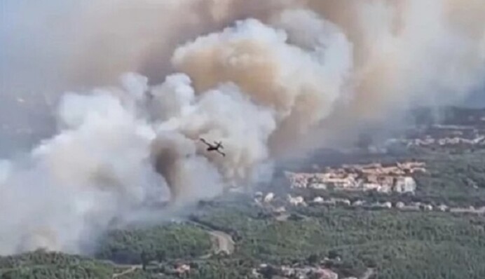 У Болгарії кілька регіонів охопили лісові пожежі