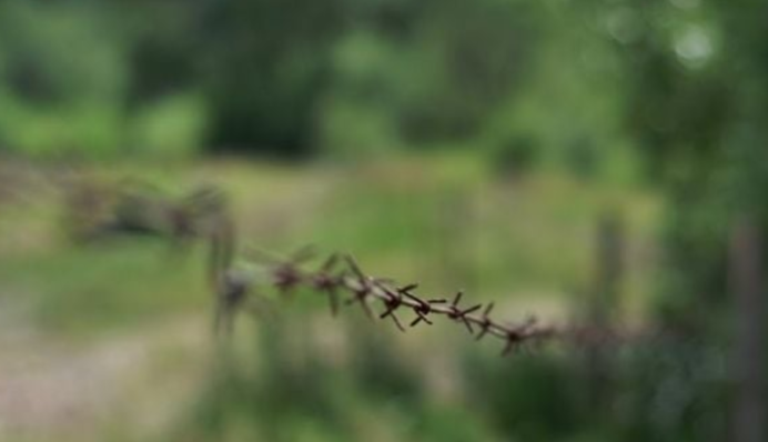 РФ закриє 20 пунктів пропуску на кордоні з Україною з 1 серпня