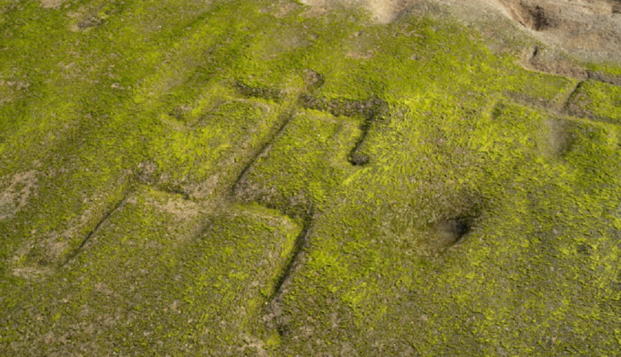 На Гаваях відступив океан і відкрив петрогліфи, яким понад 1000 років