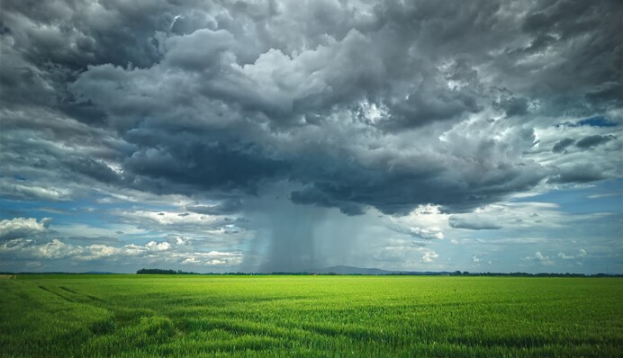 Температура упадет до +9°С: часть Украины накроет похолодание