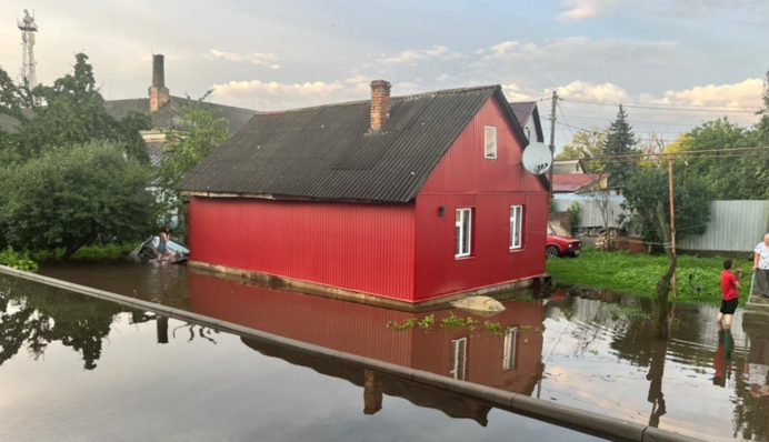 Поваленные деревья и подтопления: в ГСЧС показали последствия непогоды в пяти регионах