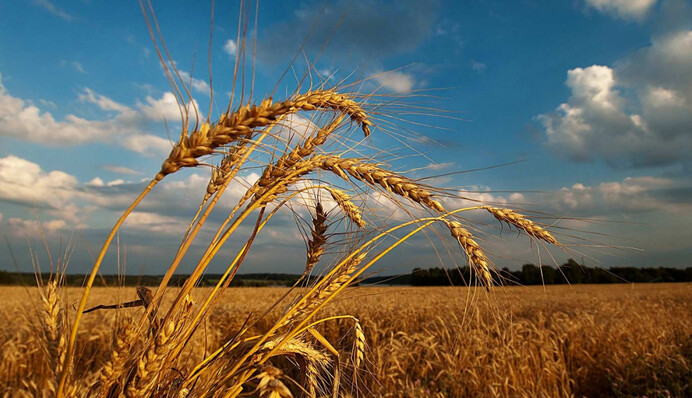Каким будет август и когда ждать прихода осени: прогноз синоптиков
