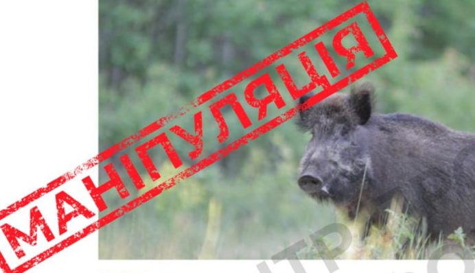 РНБО виявило фейк з ціллю принизити Україну: деталі