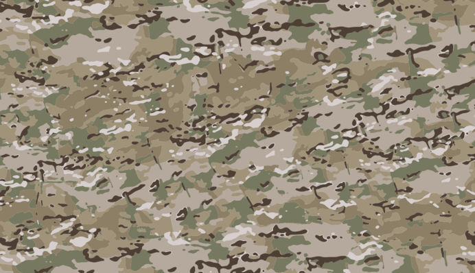 ВСУ переходят на новый камуфляж ММ-25