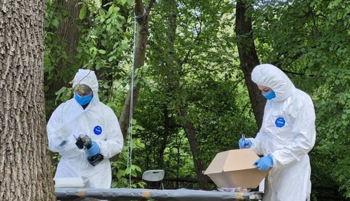 Україна планує восени почати ексгумації українців на території Польщі — МКСК