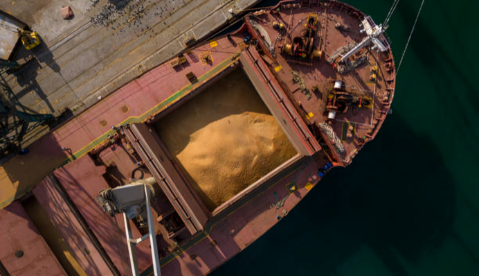 Россия откажется от строительства зерновозов и закажет первые суда в Китае