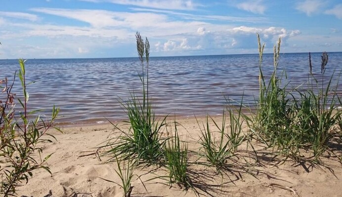 У Росії за 6 км від кордону з Естонією впав дрон