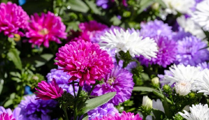 Вересень почнеться з аномальної спеки: прогноз на перший тиждень осені