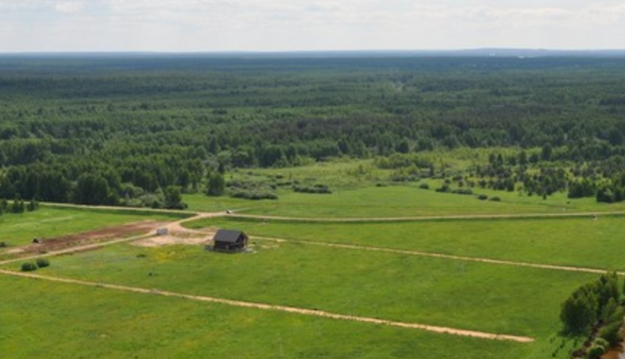 Ущерб на 13 млн грн: предпринимательница захватила земли ландшафтного заказника под Киевом