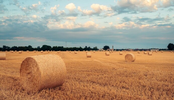 Якими будуть останні вихідні літа: прогноз на 30-31 серпня