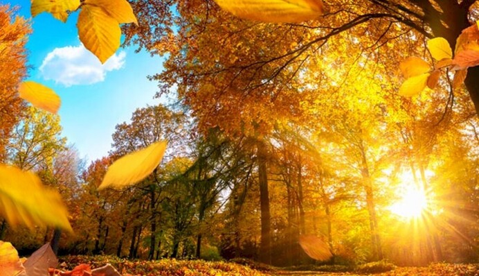 Чи продовжиться літо у вересні: кліматологиня дала свіжий прогноз