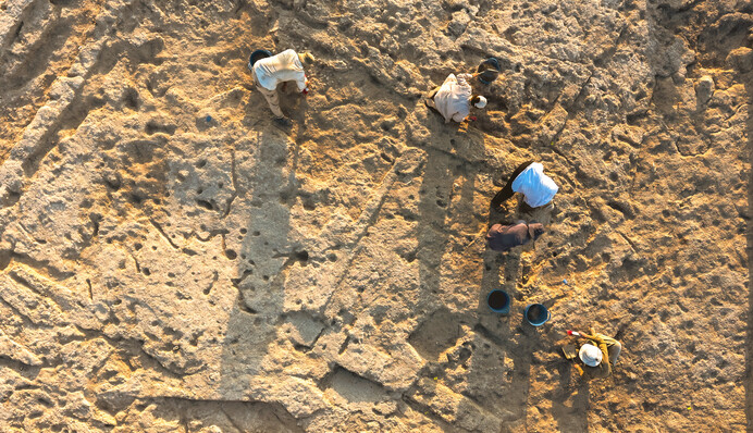 В Турции раскопали самую старую улицу мира, которой почти 10 тысяч лет