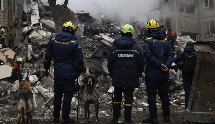 Рятувальники прихистили собаку Джессі, яка два дні чекала загиблого господаря після удару по Києву