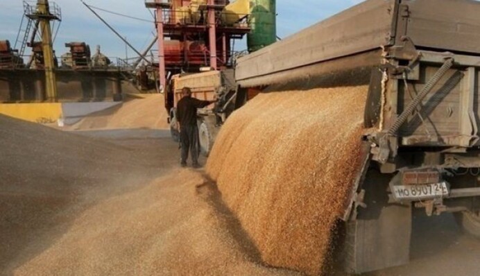 В Мариуполе россияне загружают суда с украденным украинским зерном и углем