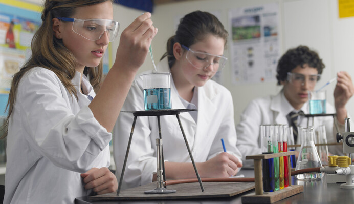 Реформа освіти в Україні: депутатка розповіла про систему нових профільних шкіл