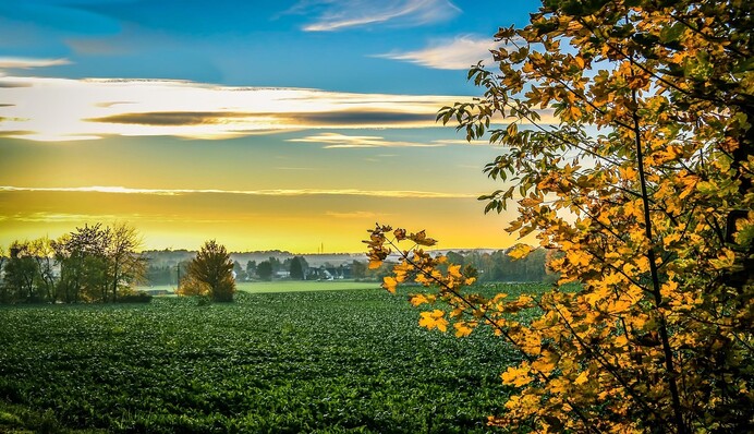 Каким будет сентябрь и когда ждать первые заморозки: прогнозы синоптиков на месяц