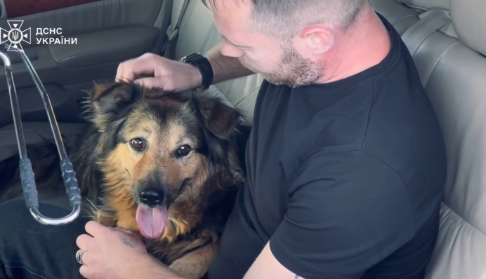 Счастливый финал: собака Джесси, пережившая обстрел, воссоединилась с родными своего хозяина