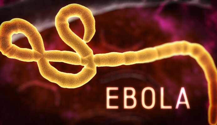 У Конго новий спалах Еболи