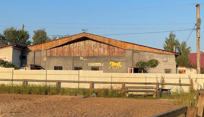 Шахеды атаковали конный клуб на Киевщине, семеро животных погибли