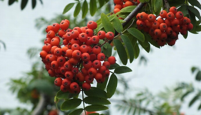 В Україну йде похолодання з дощами та грозами: яким буде другий тиждень осені