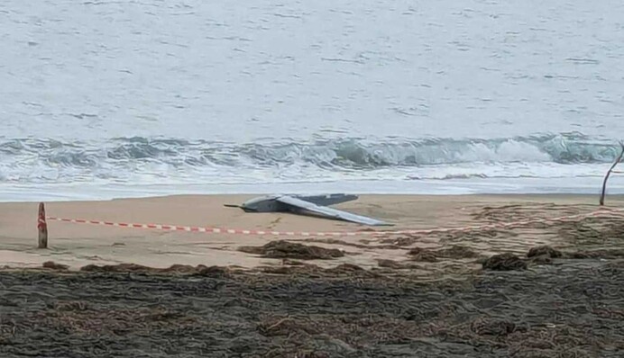 У Болгарії на пляжі знайшли військовий безпілотник — ЗМІ