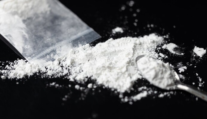 В порту Гарбурга поліція вилучила 400 кг кокаїну