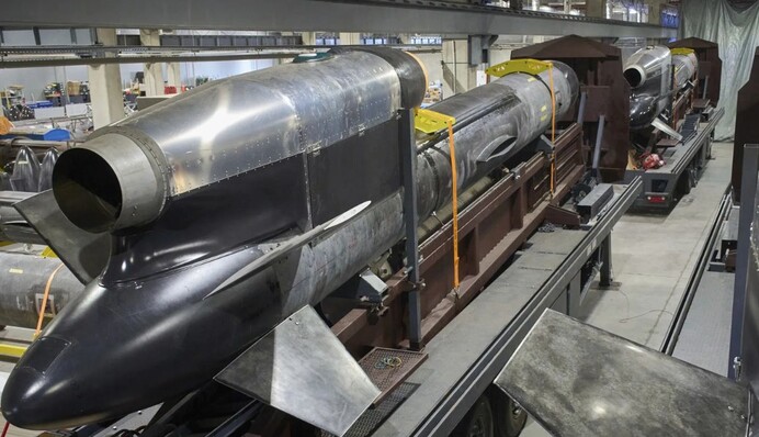 Дания проигнорирует более 20 законов и актов ради украинских 