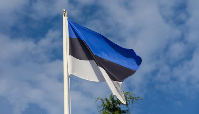 Естонія будує на кордоні з Росією 40-кілометровий протитанковий рів