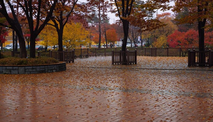 На сколько затянутся дожди: свежий прогноз синоптиков
