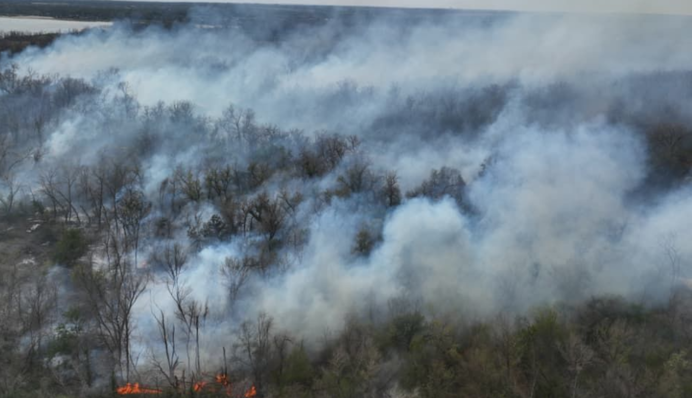 Острів Хортиця в Запоріжжі охопила масштабна пожежа — ДСНС
