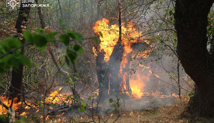 Масштабный пожар на острове Хортица в Запорожье ликвидировали: через два дня выгорело почти 4,7 га