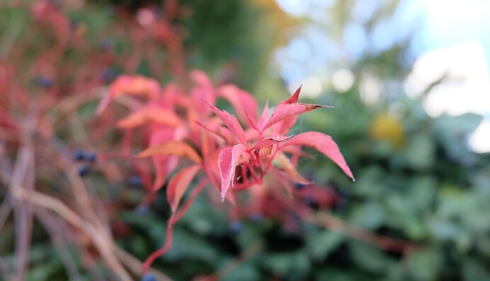 Похолодание совсем близко: синоптик дала новый прогноз погоды