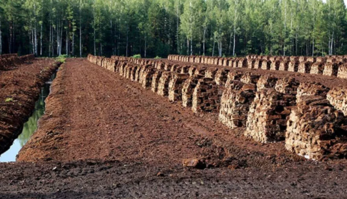 Природний бар'єр: Латвія планує відновити болота на кордоні з РФ для оборони