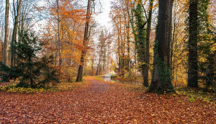 Заморозки, туманы и дожди: какой будет погода на выходных