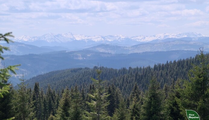 Трирічна реформа галузі: ДП 